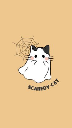 a cat with a spider web on it's face and the words scared cat