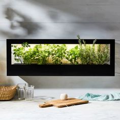 an indoor herb garden is displayed in a window frame on a countertop next to a cutting board and utensils