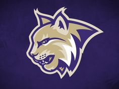 the minnesota state university logo on a purple background