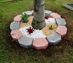 a tree in the middle of a garden with rocks around it and plants growing inside