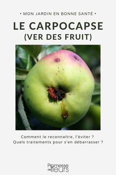 an apple is shown with the words le carpocase ver des fruit