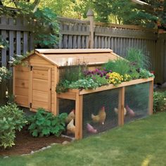 an outdoor chicken coop with plants and flowers in it