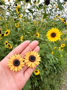 a hand holding two sunflowers in front of a field full of yellow flowers