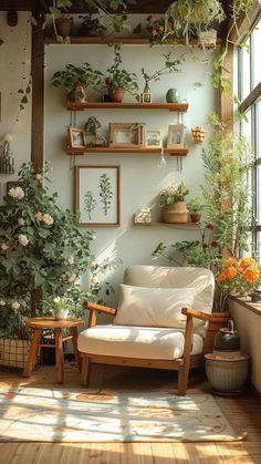 a living room filled with lots of plants and potted plants on top of shelves