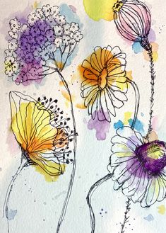 watercolor and ink drawings of flowers in vases