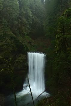 a large waterfall in the middle of a forest