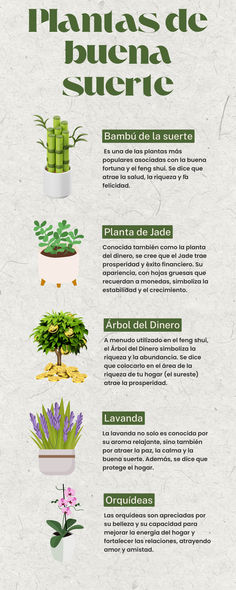 a poster with different types of plants in it