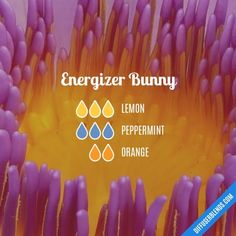 Energizer Bunny, Essential Oil Combinations, Essential Oil Diffuser Blends Recipes, Magia Das Ervas, Young Living Essential Oils Recipes, Essential Oils Guide, Essential Oil Diffuser Recipes, Oil Diffuser Recipes, Yl Essential Oils