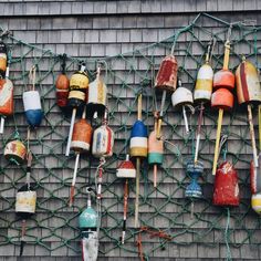 there are many buoys hanging on the wall