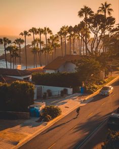 a person riding a skateboard down a street next to the ocean and palm trees