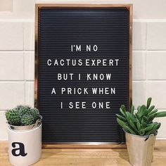 a sign that says i'm no cactus expert but i know a prick when i see one