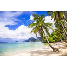 tropical beach with palm trees and clear blue water on an island in the middle of the ocean