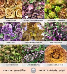 the different types of flowers are shown in this image, including roses and other plants