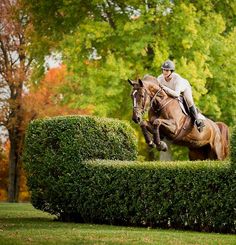 a man riding on the back of a brown horse over a hedge