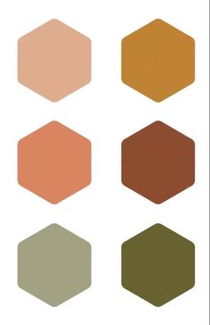 six different shades of orange, green, and brown in hexagonal shapes on a white background