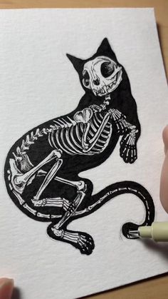 someone is drawing a skeleton cat on paper