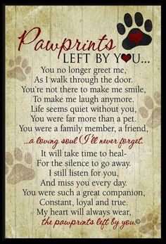 a poem written in the language of pawprints left by you