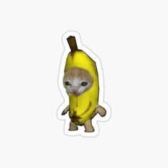 a sticker depicting a cat in a banana costume, with the caption'i don't know what this is