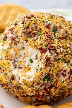 Pioneer Woman Bacon Ranch Cheese Ball Popper Cheese Ball, Bacon Ranch Cheese Ball Recipe, Bacon Ranch Cheese Ball, Ranch Cheese Ball, Appetizer Table, Cheese Spreads, Ball Recipes