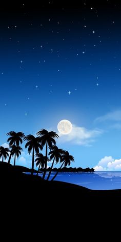 the night sky is full of stars and palm trees, while the moon shines in the distance