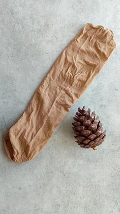 a piece of brown paper next to a pine cone