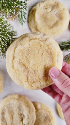 a person holding a cookie in front of some cookies on a table with pine branches