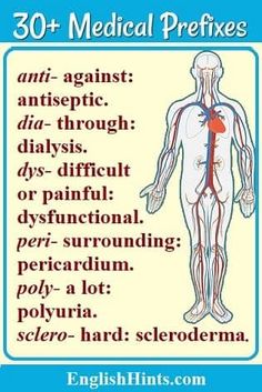 a medical poster with an image of the human body and blood vessels in red text