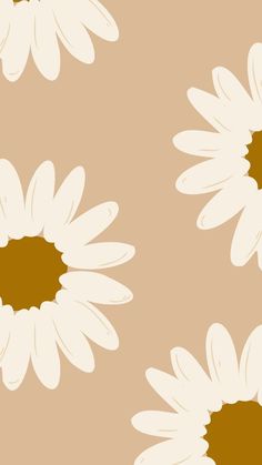 three white flowers with brown centers on a tan background, in the center is an orange circle