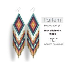 a pair of beaded earrings with fringe pattern on the front and back, hanging from hooks