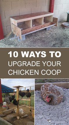 chicken coops with the words 10 ways to upgrade your chicken coop on top and bottom