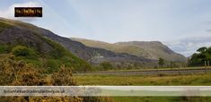 there are mountains in the background with trees and grass