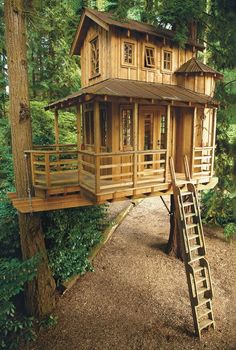 a tree house in the woods with stairs leading up to it and trees surrounding it