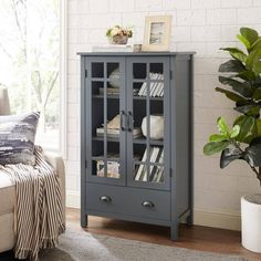 a grey bookcase with glass doors in a living room next to a couch and potted plant