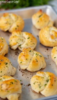 freshly baked bread rolls on a baking sheet