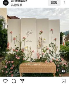 an instagram page with flowers on the wall and a bench in front of it