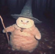 a cat wearing a witches hat and holding a stick