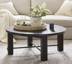 a living room with a couch, coffee table and potted plant