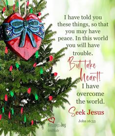 a heart shaped ornament hanging from a tree with the words seek jesus on it