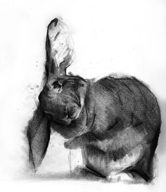 a black and white drawing of a bunny holding something in it's mouth while standing on its hind legs