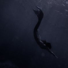 a woman swimming in the ocean with her back turned to the camera, under water