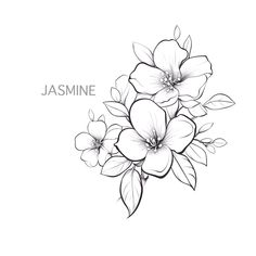 a bouquet of flowers with the words jasmine on it in black and white