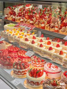 a display case filled with lots of different types of cakes and desserts on top of it