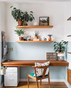 a wooden desk topped with lots of potted plants next to a wall mounted shelf