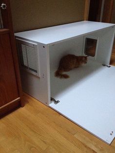 an orange cat sitting in a white box on top of a wooden floor next to a cabinet