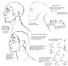 how to draw the head and shoulders in one drawing book, with instructions for each side