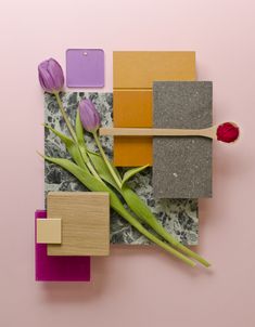 an arrangement of different materials and flowers on a pink background