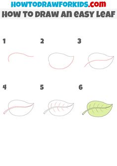 how to draw an easy leaf for kids