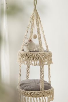 a white cat laying in a macrame style hammock hanging from the ceiling