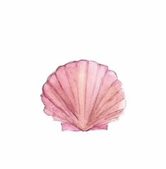 a watercolor drawing of a pink shell on a white background with the word love written below it