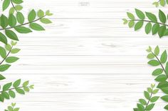 green leaves and branches on white wooden background with space for text flat layed out